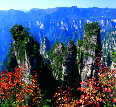 �żҽ����ɭ�ֹ�԰����������