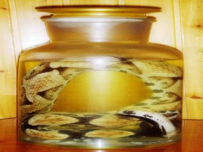 �岽�߾ƺ��岽�߻��