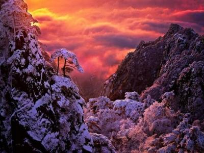 �żҽ綬ѩ (1)