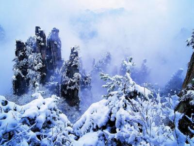 �żҽ綬ѩ (10)