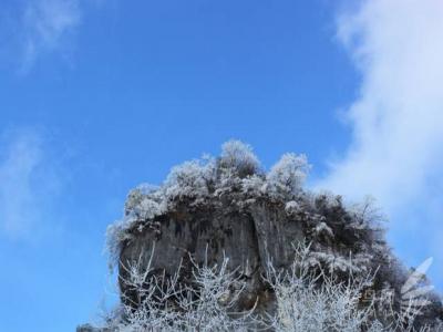 �żҽ綬ѩ (12)