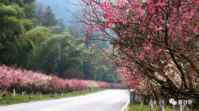 �żҽ��ʯկ�����㿴÷�����������